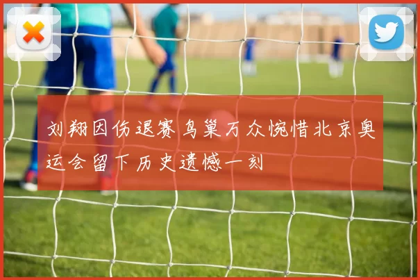 刘翔因伤退赛鸟巢万众惋惜北京奥运会留下历史遗憾一刻