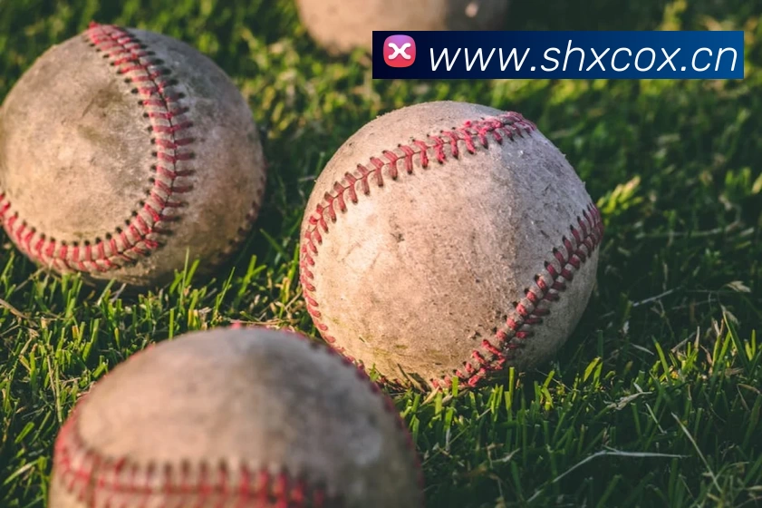 九游app在线入口APP 封面图